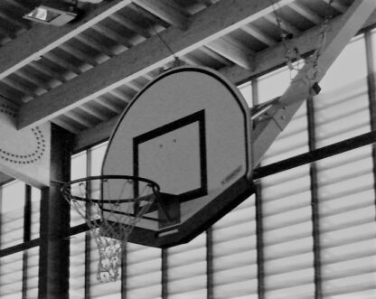 PROTECTION BAS DE PANNEAU DE BASKET ARRONDI 120X90CM ÉPAISSEUR 18MM - NOIR