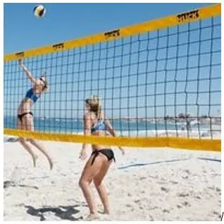 FILET FIL Ø 2,3MM - MAILLES 100X100MM - BEACH VOLLEY – NOIR - POUR TERRAIN 8M X 16M